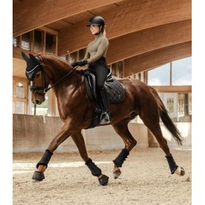 Phoenix serien i sort/guld eller brun/guld