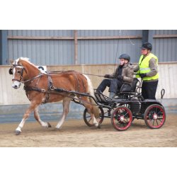 KLINDT Let saletsele