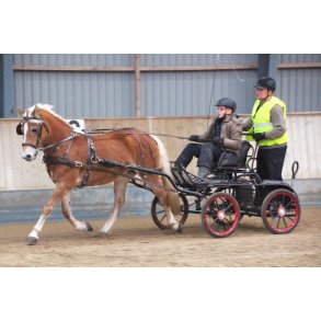 KLINDT Let saletsele