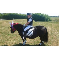 Fransk ponypude, Norton dlux