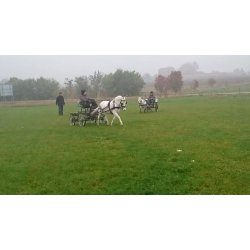 Kreundervisning med egen hest.