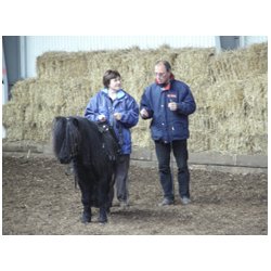 Kreundervisning med egen hest.