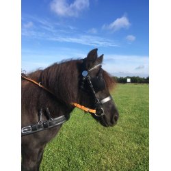 KLINDT Start saletsele med Quick Release stangstropper