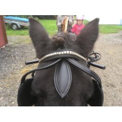 KLINDT Start saletsele med Quick Release stangstropper