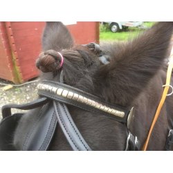 KLINDT Start saletsele med Quick Release stangstropper