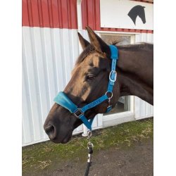 Alcatara grime, navn kan tilkbes