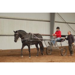 Kreundervisning med egen hest.