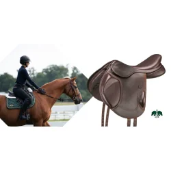 Arena Monoflap spring