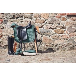 CATAGO Inspire trense