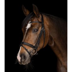 Charmbit trense, Waldhausen