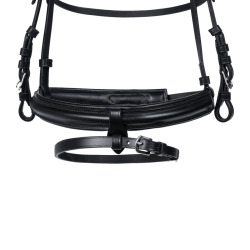 Charmbit trense, Waldhausen