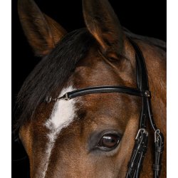 Charmbit trense, Waldhausen