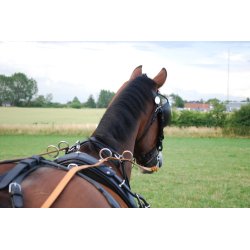 KLINDT Prsentationssele