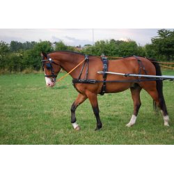 KLINDT Prsentationssele