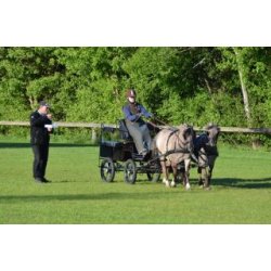 Kreundervisning med egen hest.