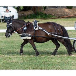 KLINDT Start saletsele med Quick Release stangstropper