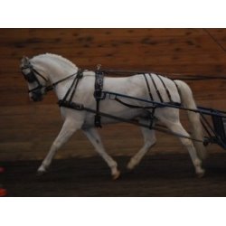 KLINDT Dressur saletsele