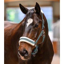 Waldhausen grime Elegant