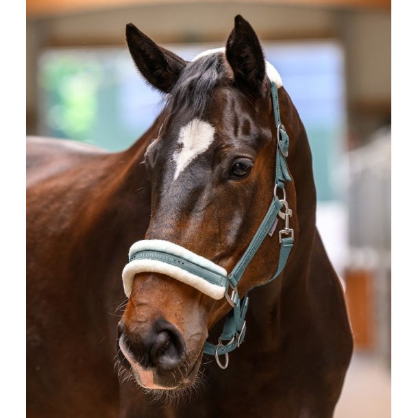 Waldhausen grime Elegant