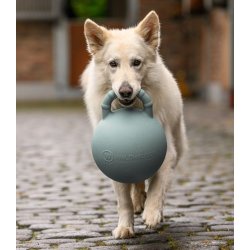Fun ball til hest og hund