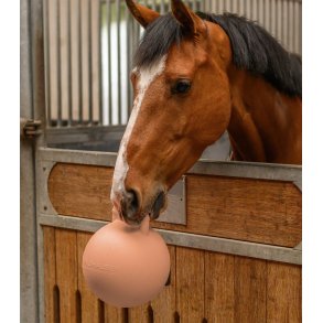 Fun ball til hest og hund