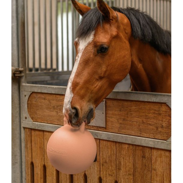 Fun ball til hest og hund
