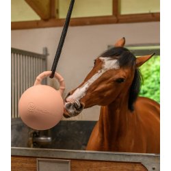 Fun ball til hest og hund