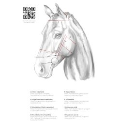 CATAGO Gentle Bridle opm�ling til trense