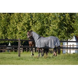 HG Insektdkken, Madison