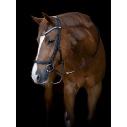 HG Tine anatomisk trense