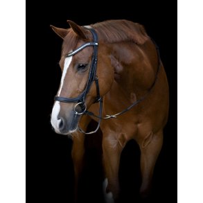 HG Tine anatomisk trense