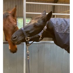 HG Floy 100g. dkken med aftagelig hals