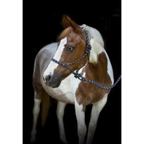 Rebgrime med tov, HG