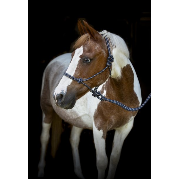 Rebgrime med tov, HG