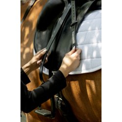 HG stigremme i l�der med glitter