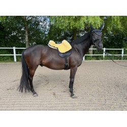 Lammeskindssadel, Engel