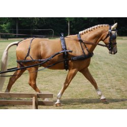 KLINDT Let saletsele