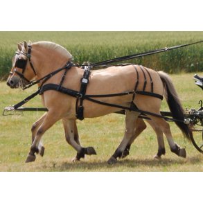 KLINDT Dressur tospandsseler