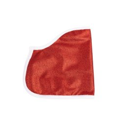 Dkken til My Hobby Horse