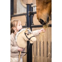 Kphest Fjord fra My Hobby Horse