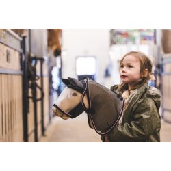 Insekt dkken til My Hobby Horse