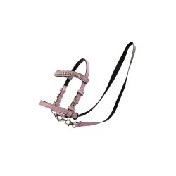 Trense til My Hobby Horse, glitter