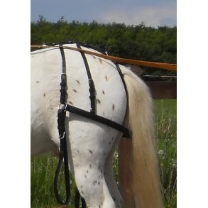 Hintertj til nspnder