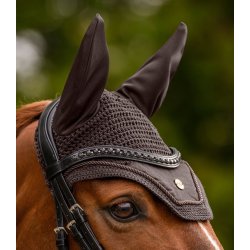 Phoenix hood