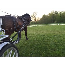 Slrem med QR bning, Zilco