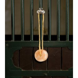 Tremme krog til hnet