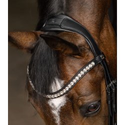 Waldhausen X-line Evermore trense