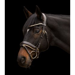 Waldhausen X-line Ivory trense