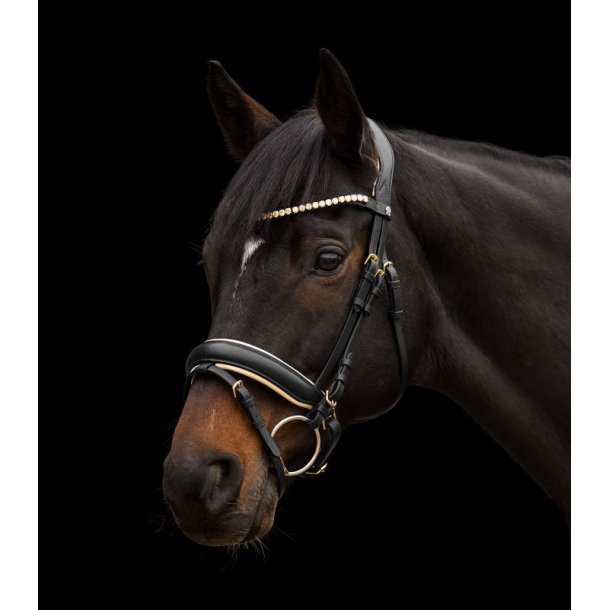 Waldhausen X-line Ivory trense