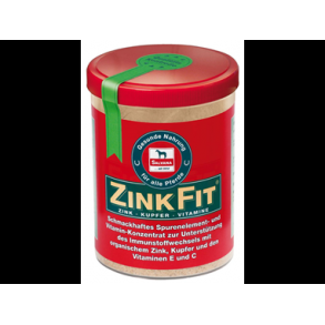 Zink Fit
